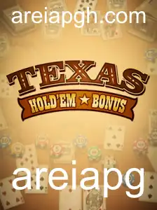 Descubra Tudo Sobre o Jogo de Cartas Texas Holdem Bonus